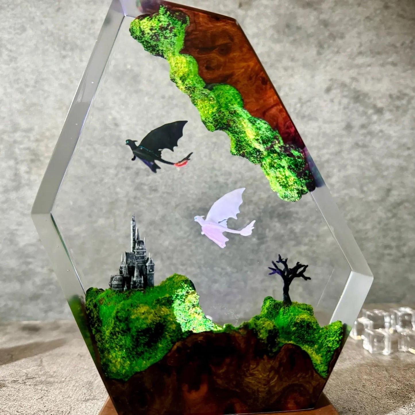 How To Train Your Dragon Family Toothless and Light Fury