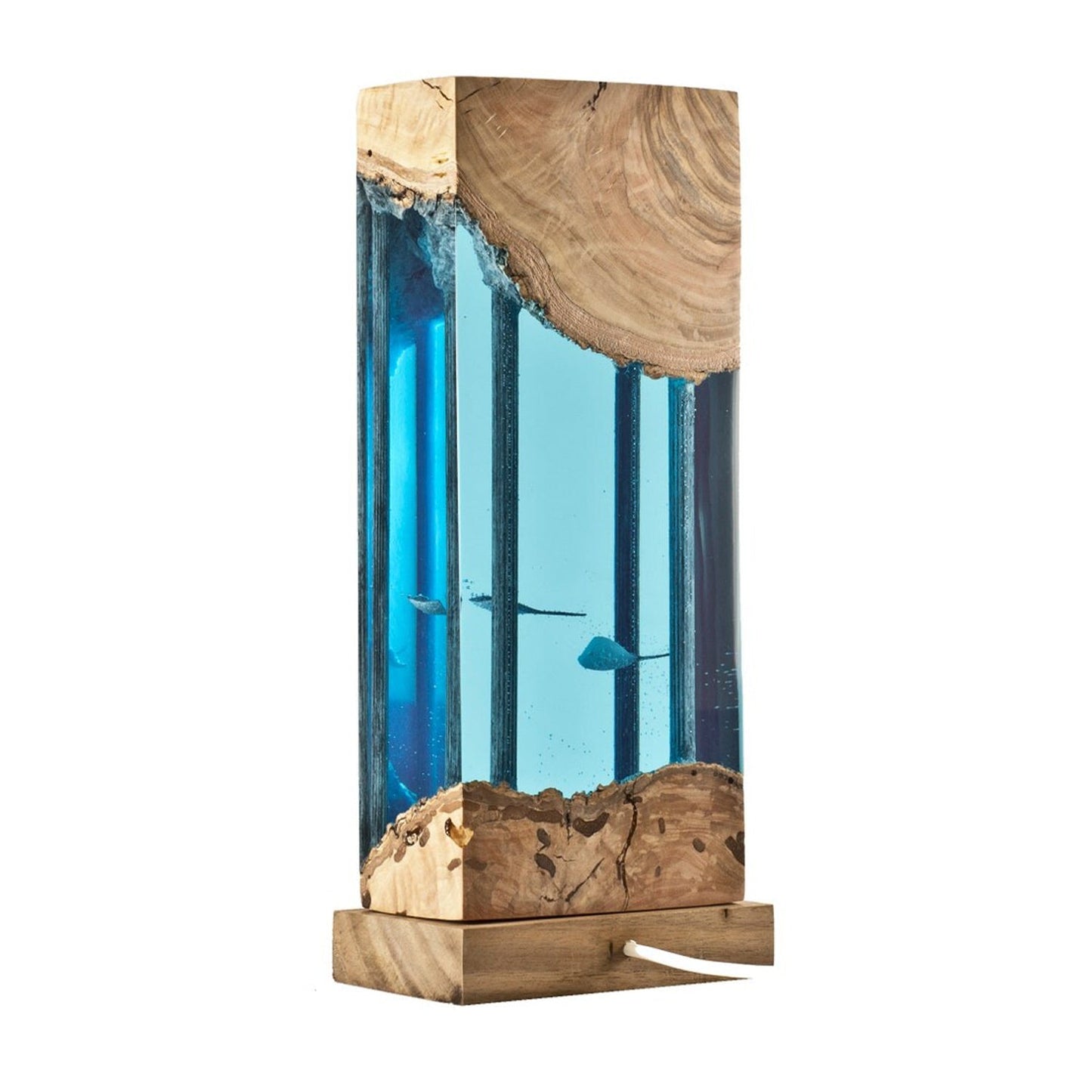 Whale Shark, Divers & Shipwreck - High Quality Epoxy Resin Lamp - ArtFIGU