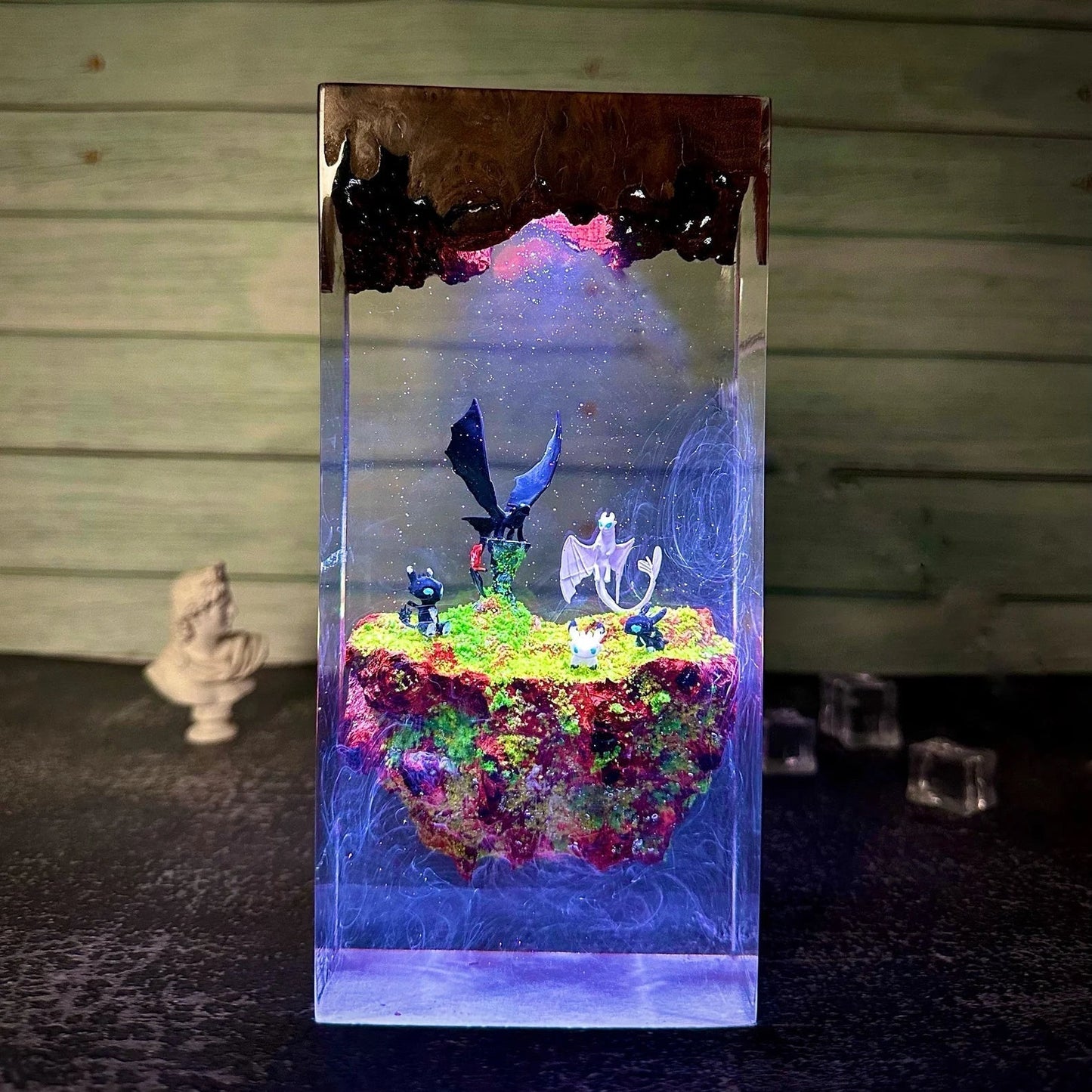 How To Train Your Dragon Family Toothless and Light Fury