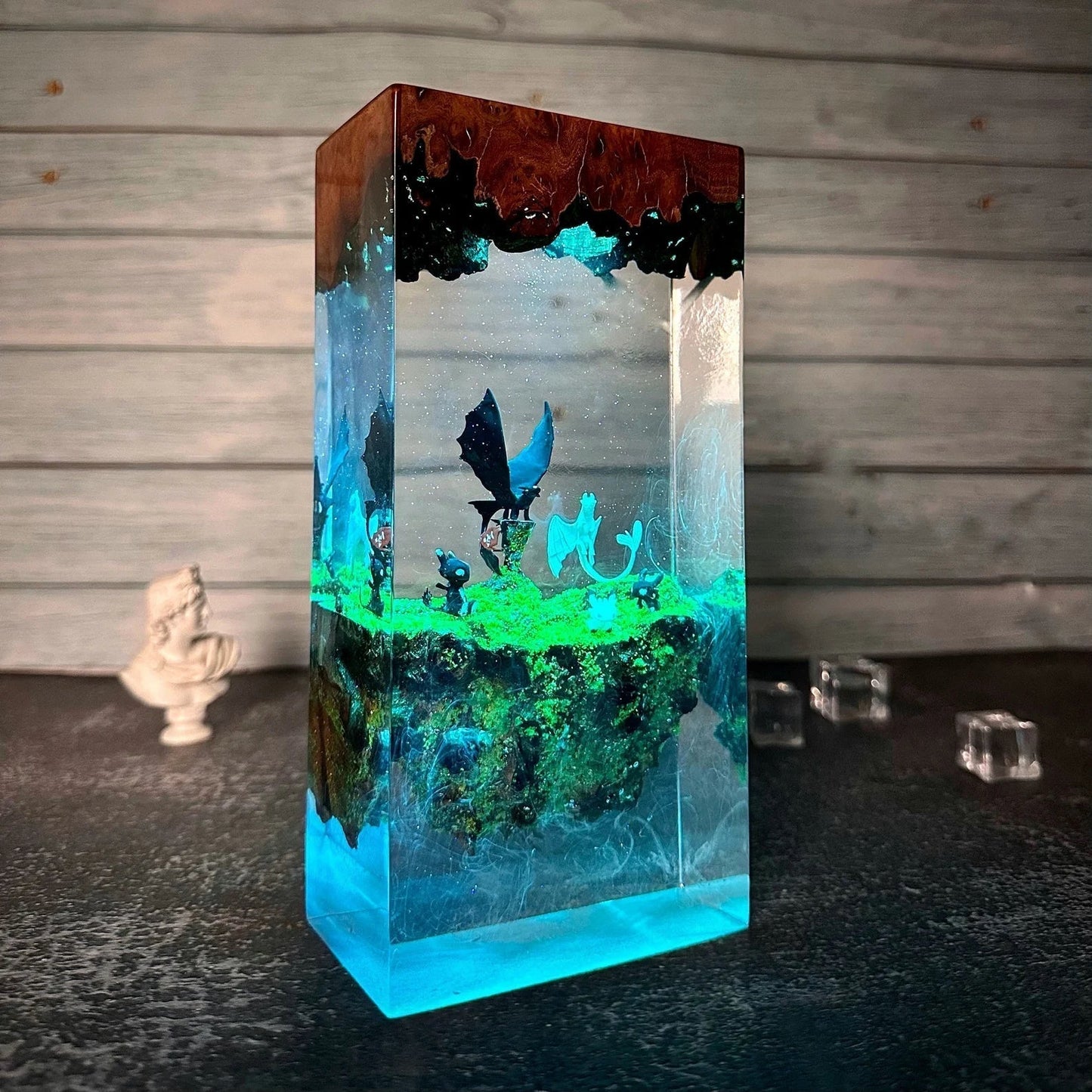 How To Train Your Dragon Family Toothless and Light Fury