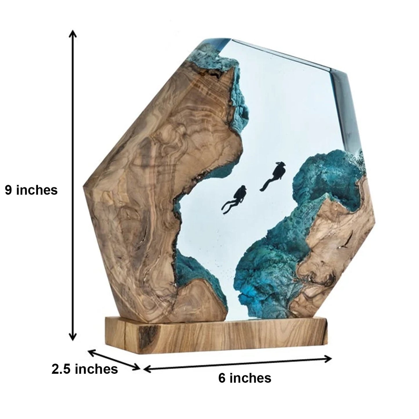 Divers Explore Undersea